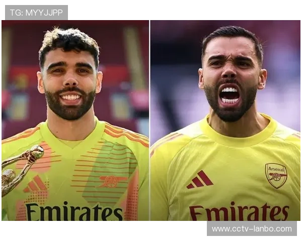 英超金手套竞争激烈：拉亚13场零封领跑门将榜单